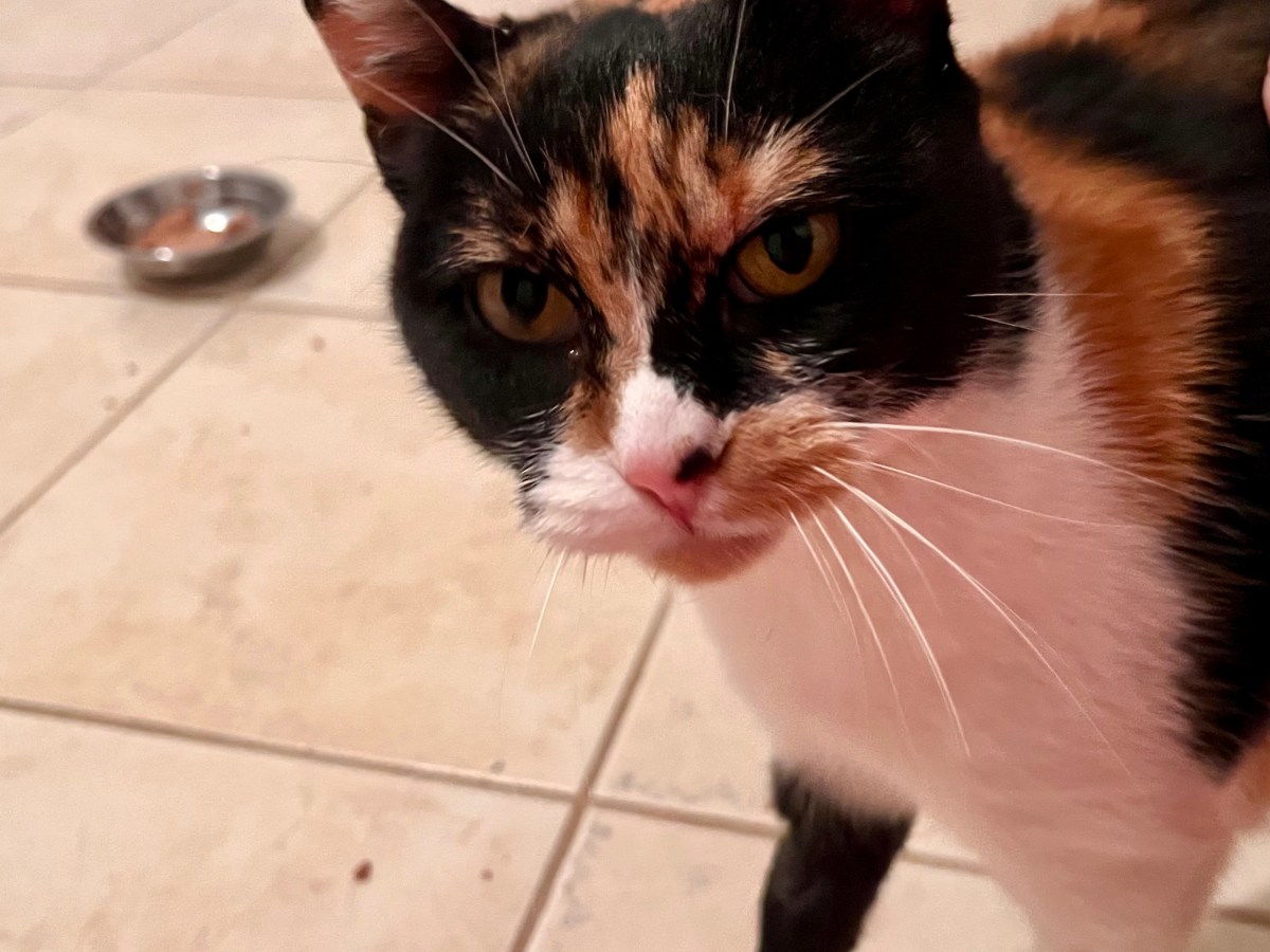 Mimi